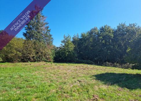 Terrain à bâtir de plus de 2000 m² à Charras, au cœur de la forêt d’Horte